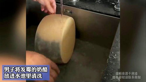 男子將發(fā)霉的奶酪,放進(jìn)水池里清洗