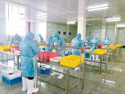 【強信心 增動能-高質(zhì)量發(fā)展一線報道】把&ldquo;舌尖&rdquo;上的產(chǎn)業(yè)做精做細